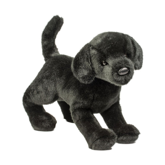 Chester Black Lab