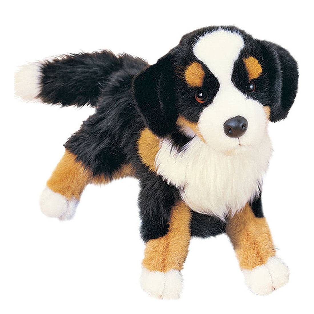 Das ist Trevor, ein Berner Sennenhund von Douglas Cuddle Toys. Er steht auf vier Beinen, sein mittellanges, leicht zotteliges Fell glänzt sanft und ist überwiegend schwarz mit braunen Abzeichen; an Brust und Rute ist es länger und voller. Die Schnauze, ein Fleck zwischen den Augen und der Bauch sind weiß, die Ohreninnenseiten schwarz. Die Beine sind braun mit weißen Pfoten und Pfotenballen, die Augen braun, die Nase schwarz und rund. Der Ausdruck wirkt sanft und aufmerksam.