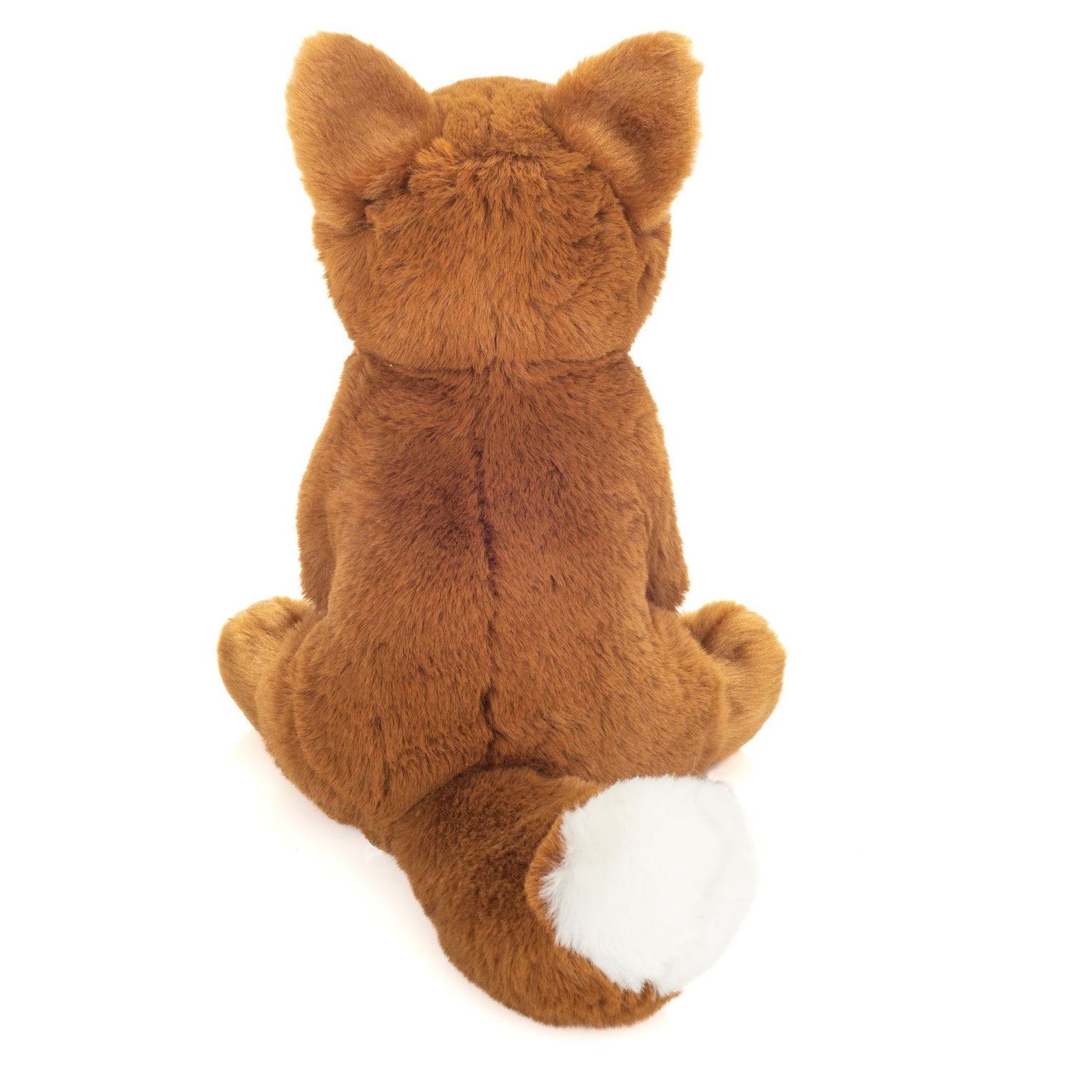 Sitting Fox