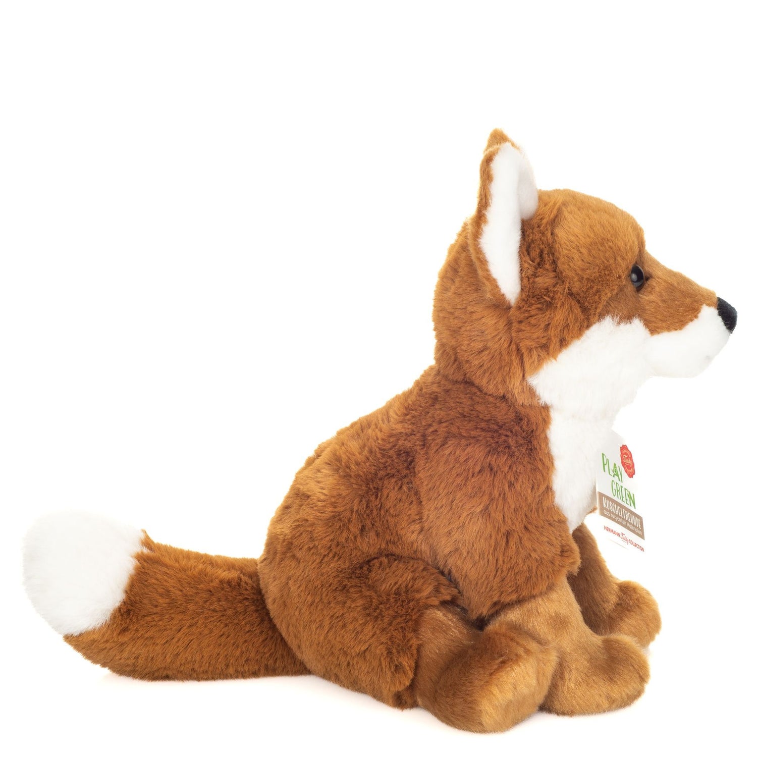 Sitting Fox