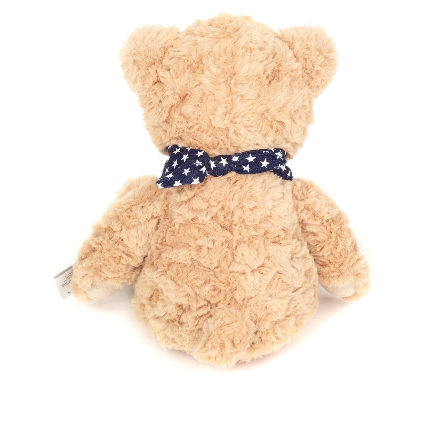 Teddy Sandy
