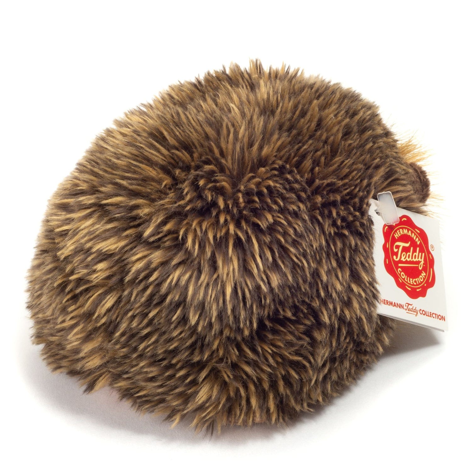 Hedgehog