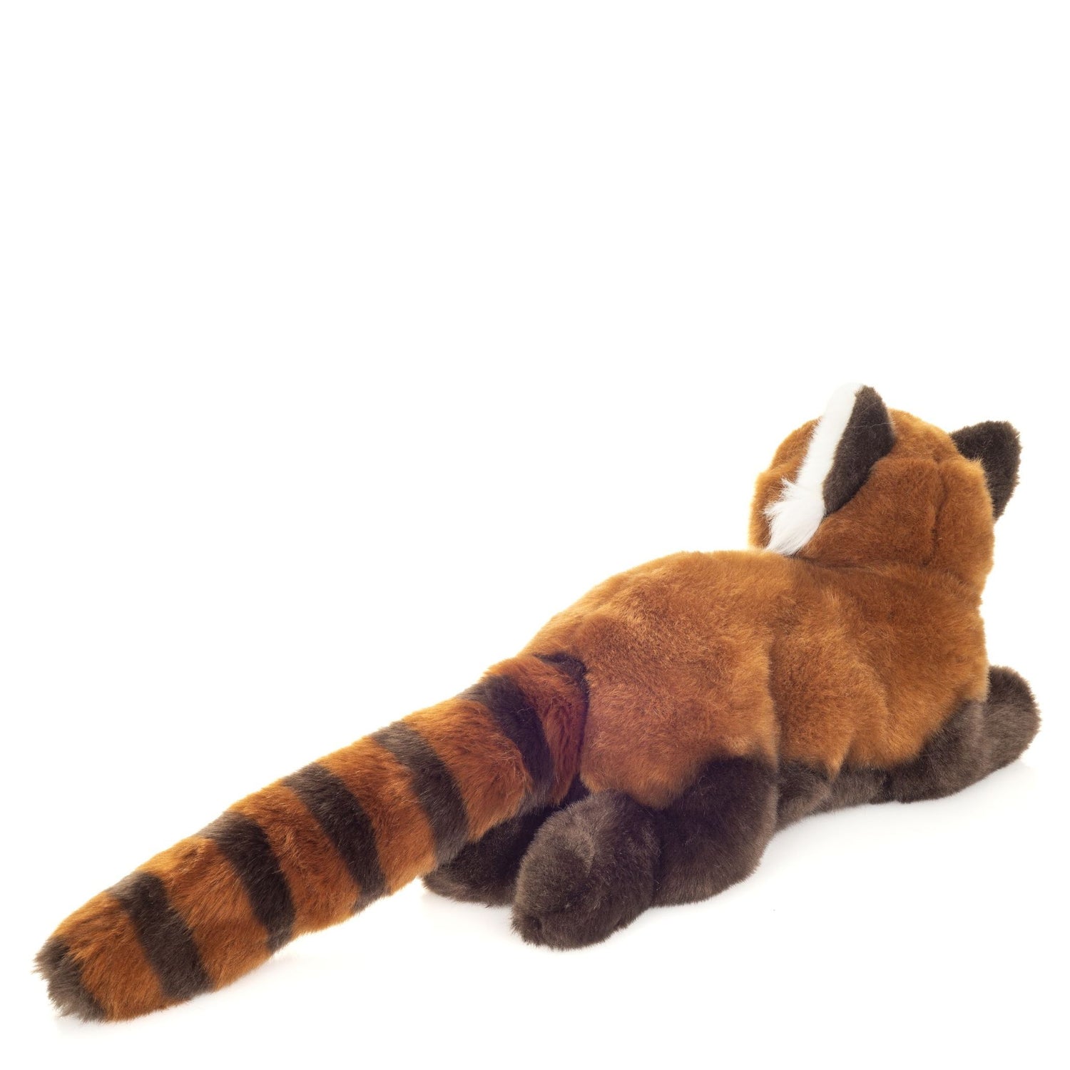 Red Panda