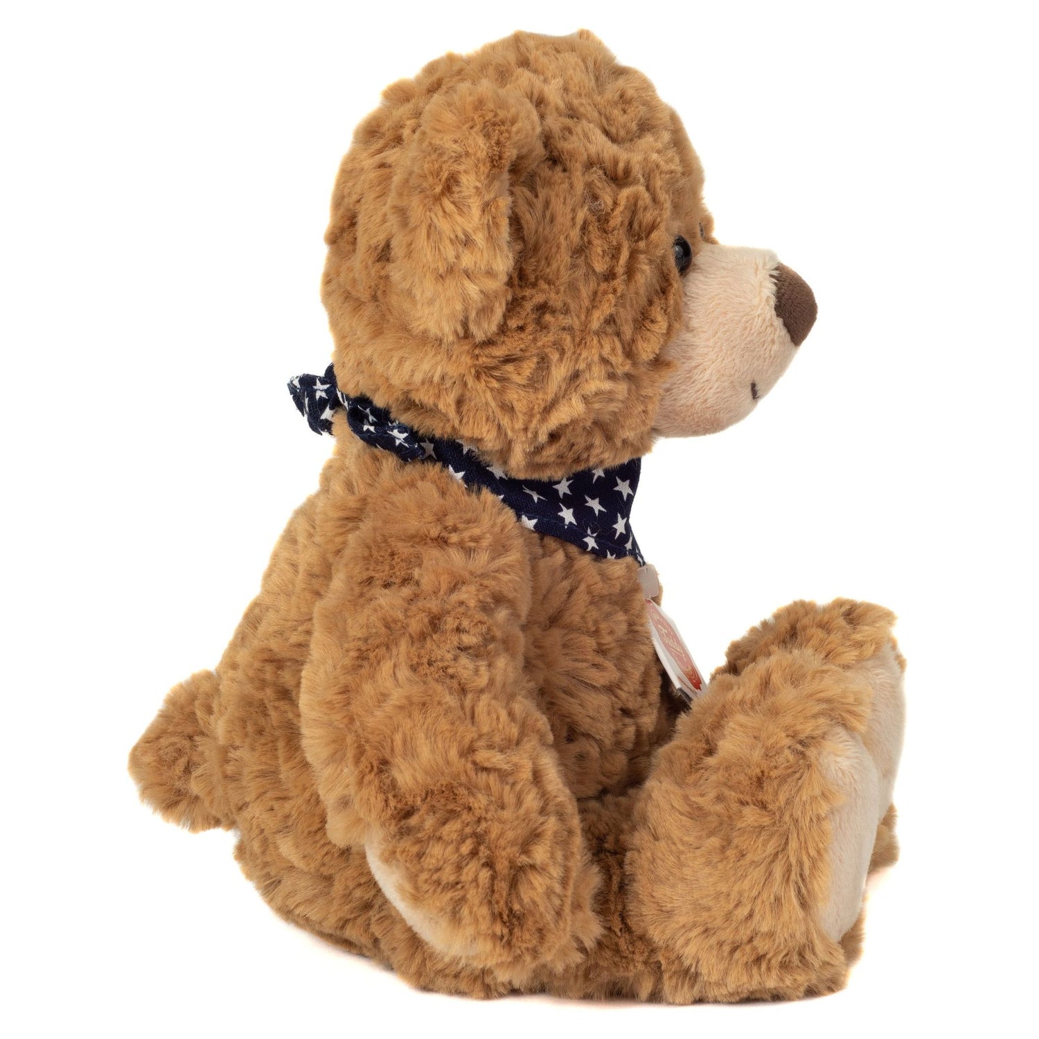 Teddy Rufus