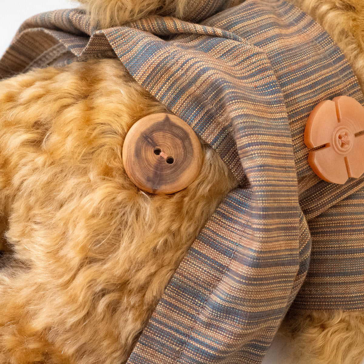 Bear Bears Herbst