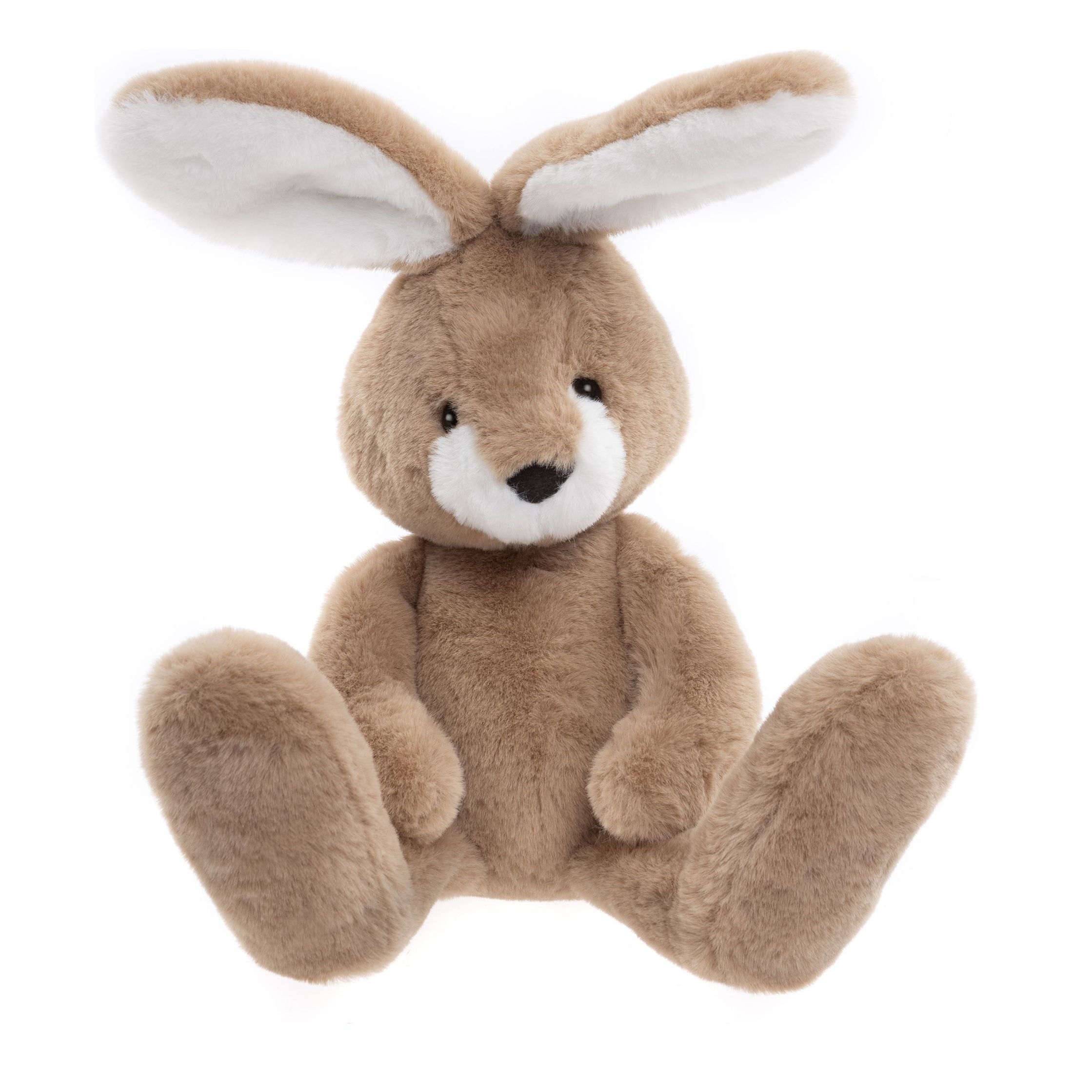 Harry Hare