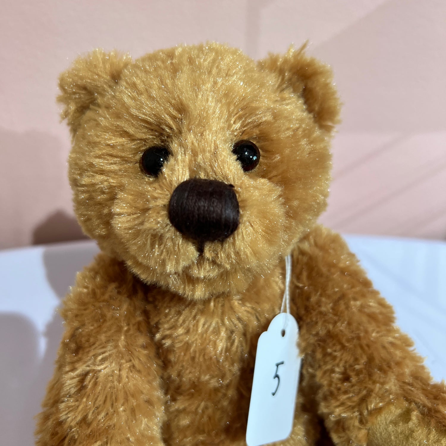 Huggable Harry