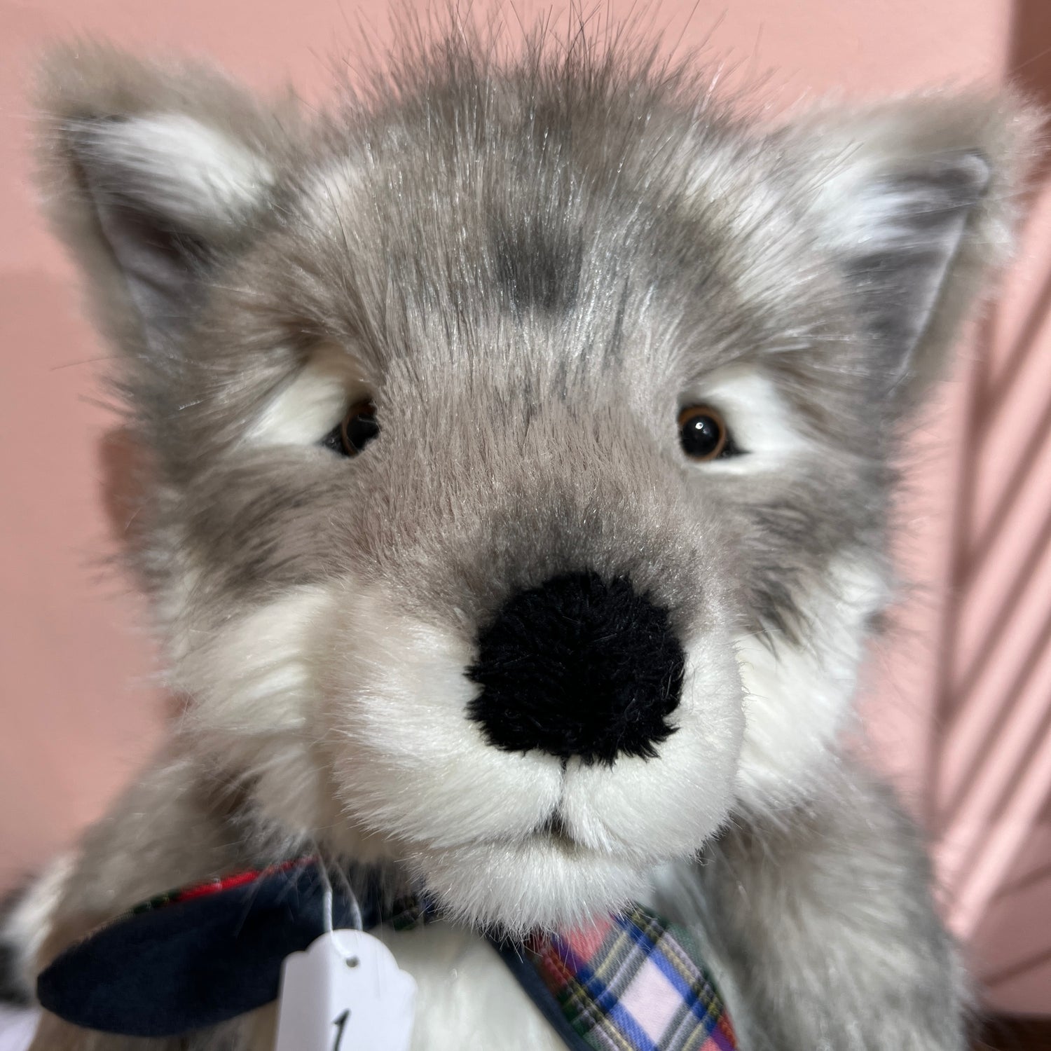 Timberwolf