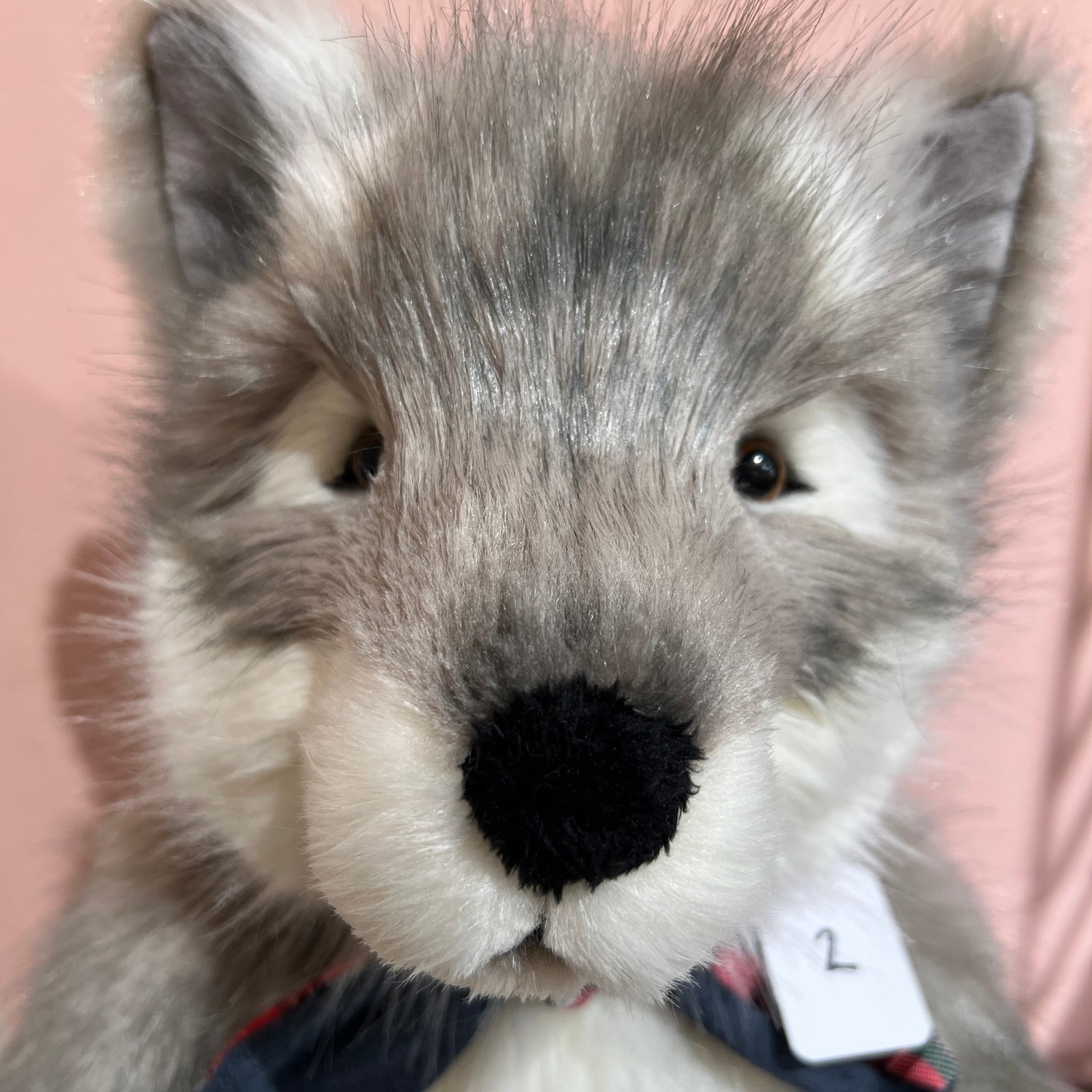 Timberwolf
