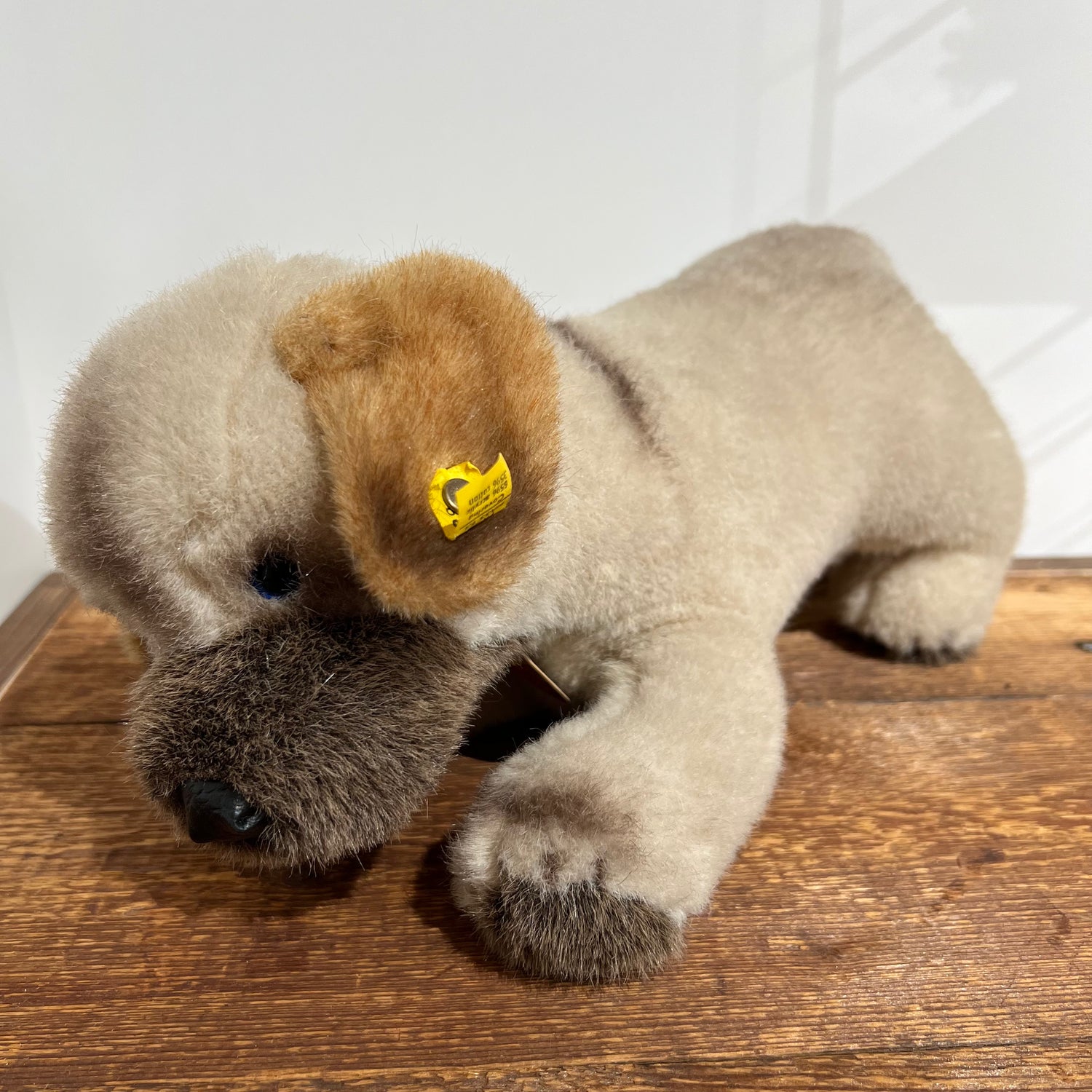 Das ist Welfo, ein Hund von Steiff. Der handgefertigte Hund steht auf allen vier Beinen und hat kurzes, dichtes Plüschfell mit leichtem Schimmer. Das Fell ist überwiegend beige, braun an Ohreninnenseiten, Schnauze und Pfotenspitzen, an der Nase dunkelbraun bis schwarz. Die Nase ist schwarz und rund, Bauch und Beine sind beige. Ein sichtbares Auge ist blau. Keine Kleidung, nichts in den Pfoten. Der Ausdruck wirkt wach und freundlich.