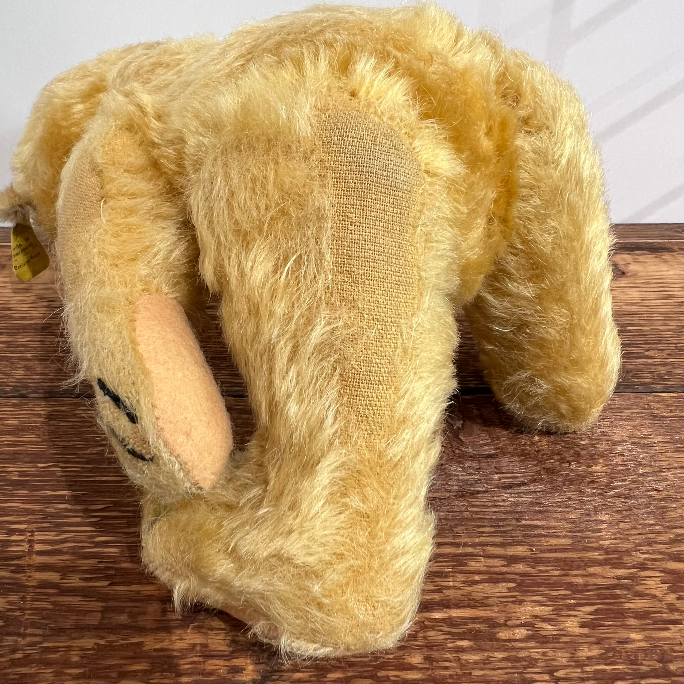 Steiff Teddybär aus den 50ern