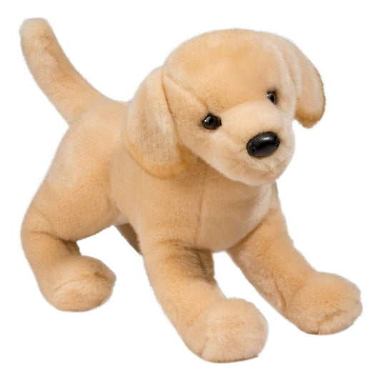 Das ist Labrador Mandy, ein Hund von Douglas Cuddle Toys. Großes Hundekuscheltier mit durchgehend beigem Fell, kurz bis mittellang, glatt, mitteldicht und sanft schimmernd. Schnauze, Ohreninnenseiten, Bauch und Pfoten sind ebenfalls beige, ohne Abzeichen oder Streifen. Die Augen sind rund und dunkelbraun, die Nase schwarz und rund. Ohne Kleidung und Zubehör. Sie steht mit ausgestreckten Vorderbeinen, die Hinterbeine unter dem Körper, der Ausdruck freundlich-neugierig.