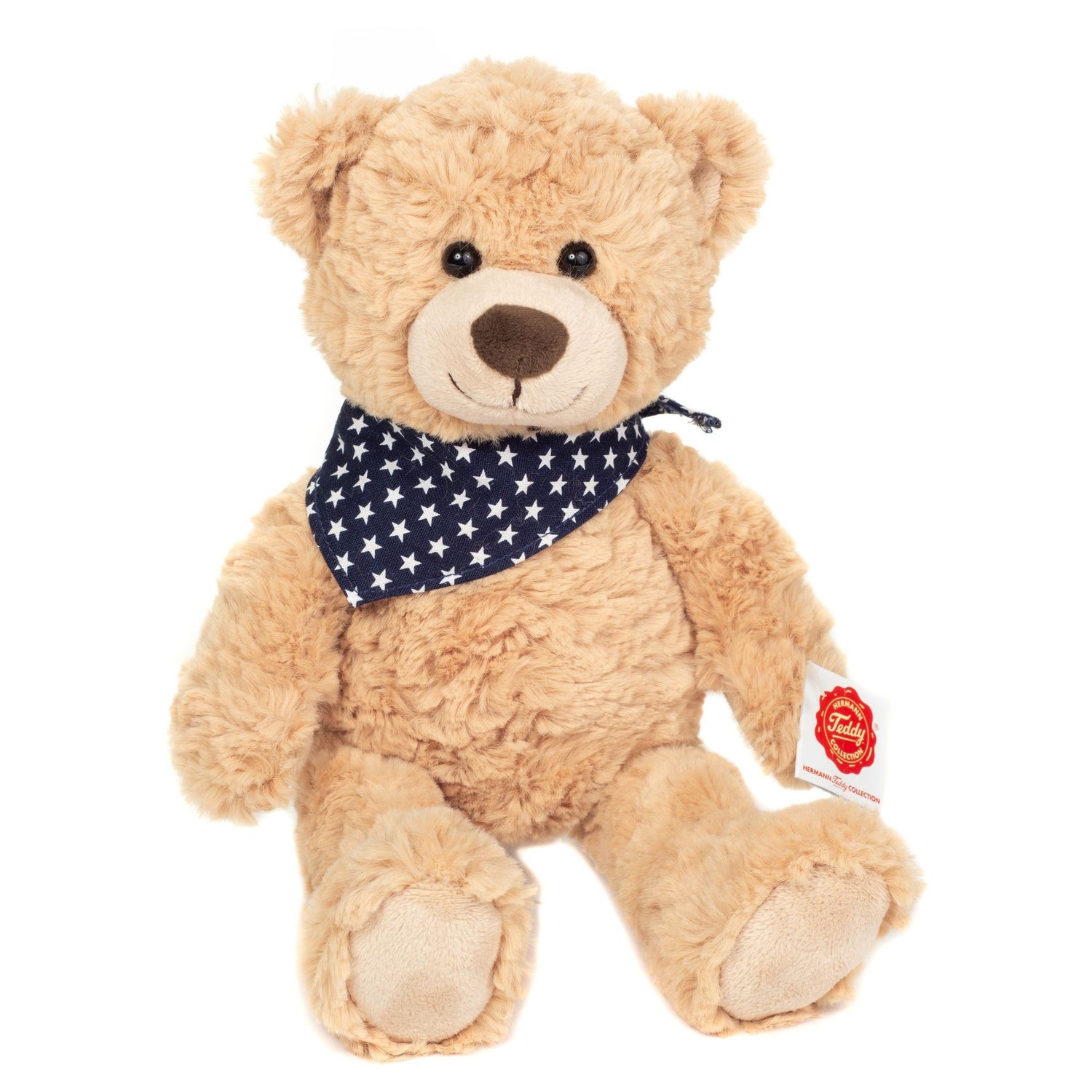 Teddy Sandy