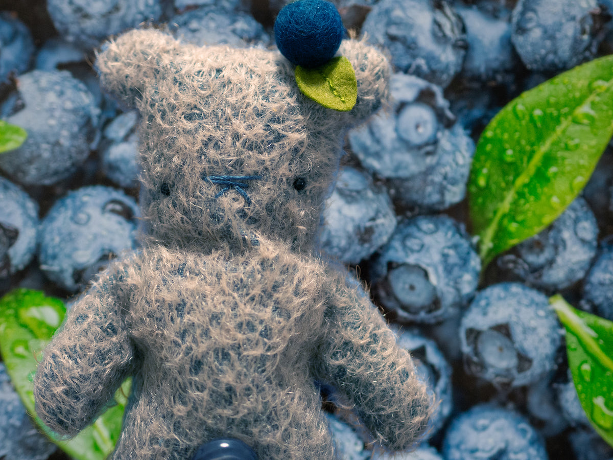 Bear Bears Blaubeere