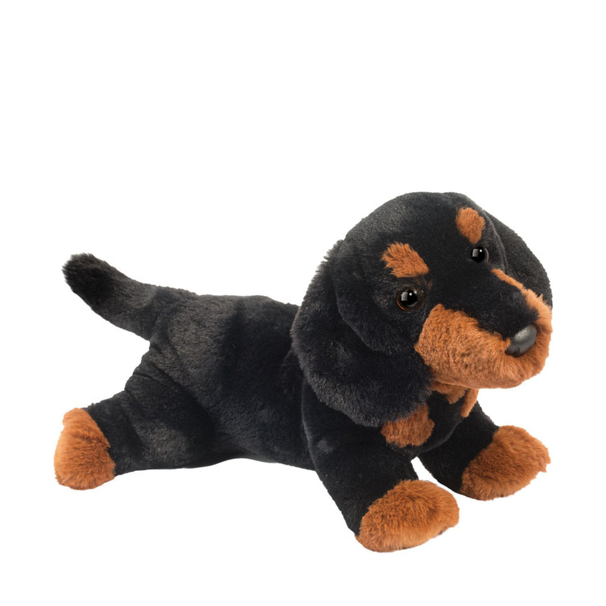 Das ist Dottie, ein Dackel von Douglas Cuddle Toys. Sie liegt mit ausgestrecktem Körper und gespreizten Beinen. Das kurze, dichte Fell ist schwarz und braun, glatt und leicht glänzend. Braun sind Schnauze, zwei Augenflecken, ein Brustfleck sowie Vorder- und Hinterpfoten samt Pfotenballen; Ohreninnenseiten und Bauch sind schwarz. Die runden Augen sind dunkelbraun bis schwarz, die runde Nase ist schwarz. Der Ausdruck wirkt sanft und aufmerksam.