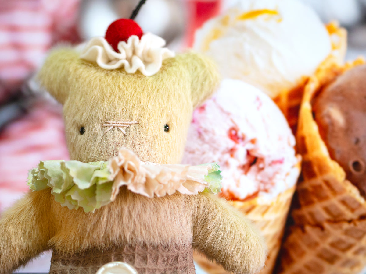 Bear Bears Eis