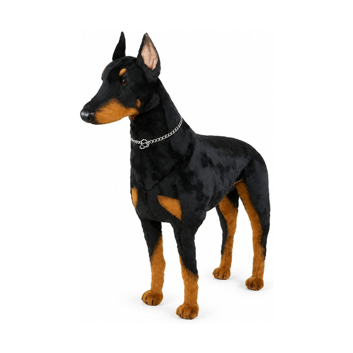 Piutrè Dobermann