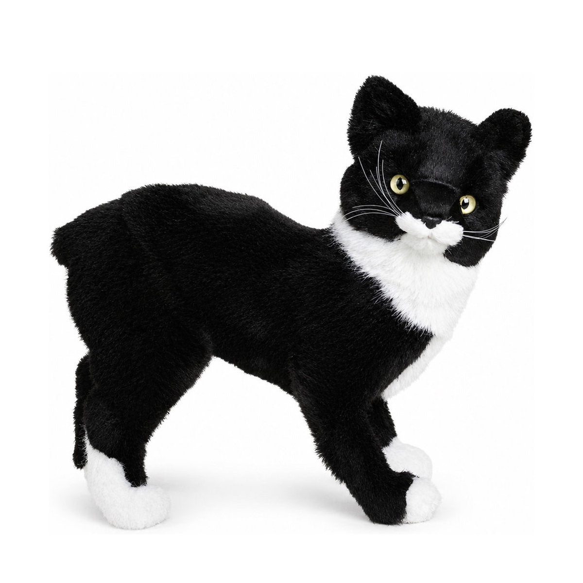 Piutrè Manx-Katze