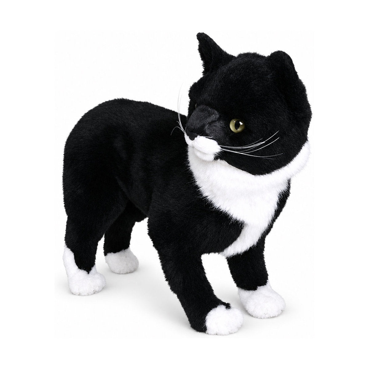 Piutrè Manx-Katze