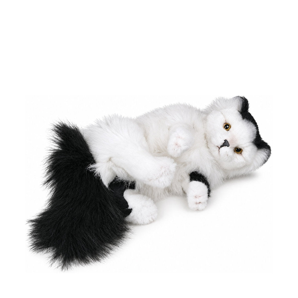 Piutrè Türkisch-Van-Katze weiß-schwarz