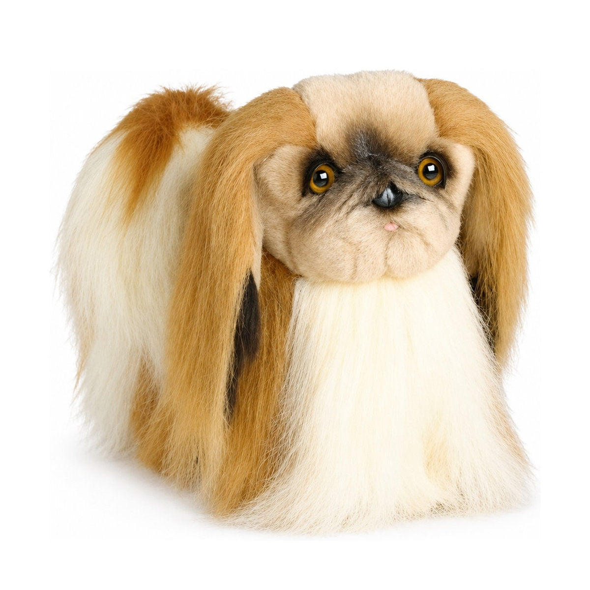 Piutrè Pekinese