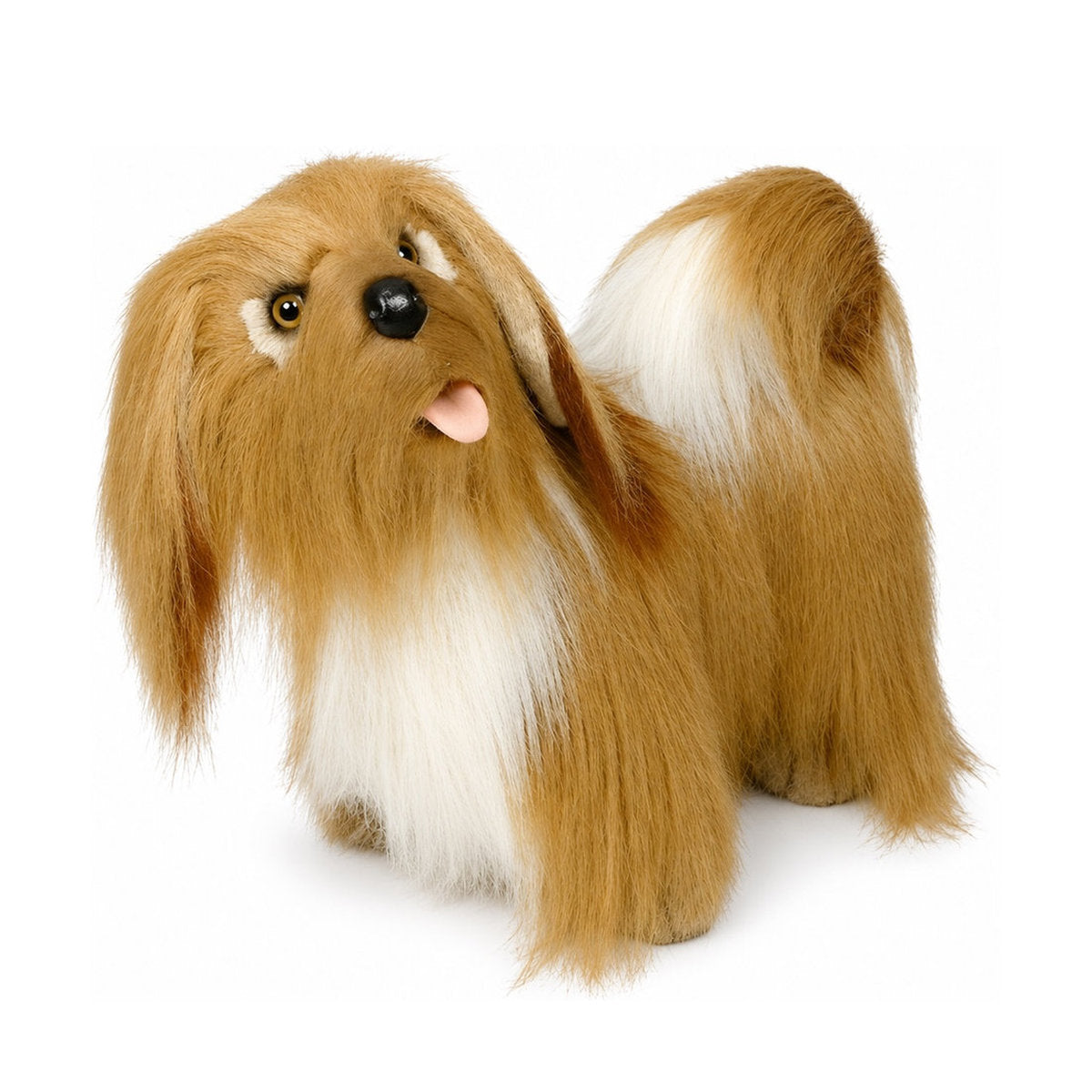 Piutrè Lhasa Apso