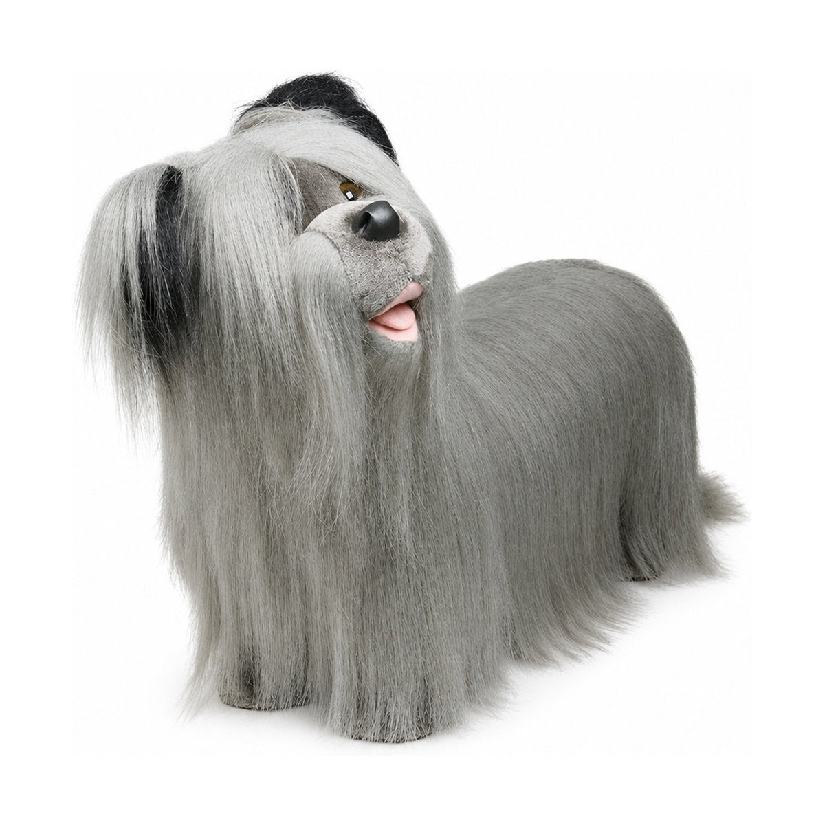 Piutrè Skye Terrier