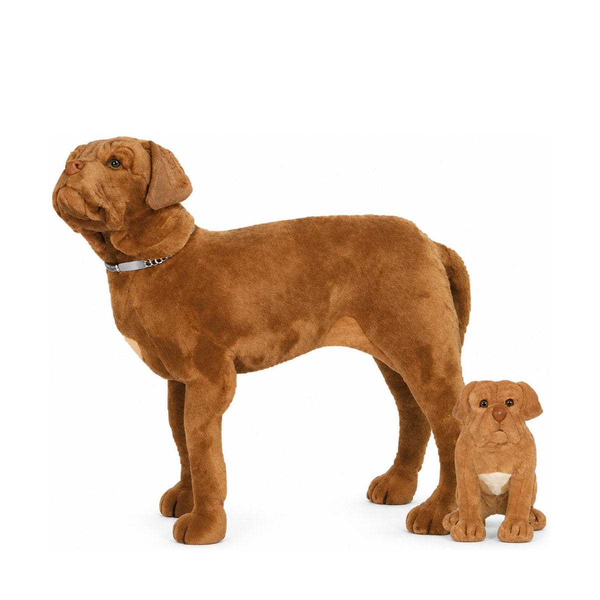 Piutrè Bordeauxdogge