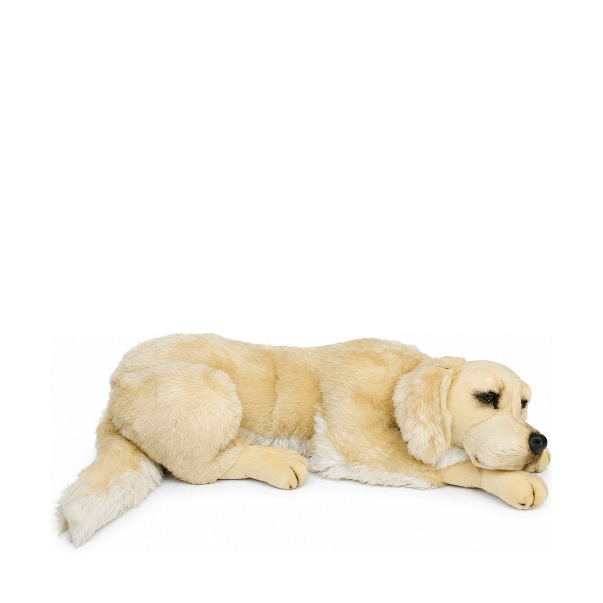 PIUTRE-2202 pose:lying