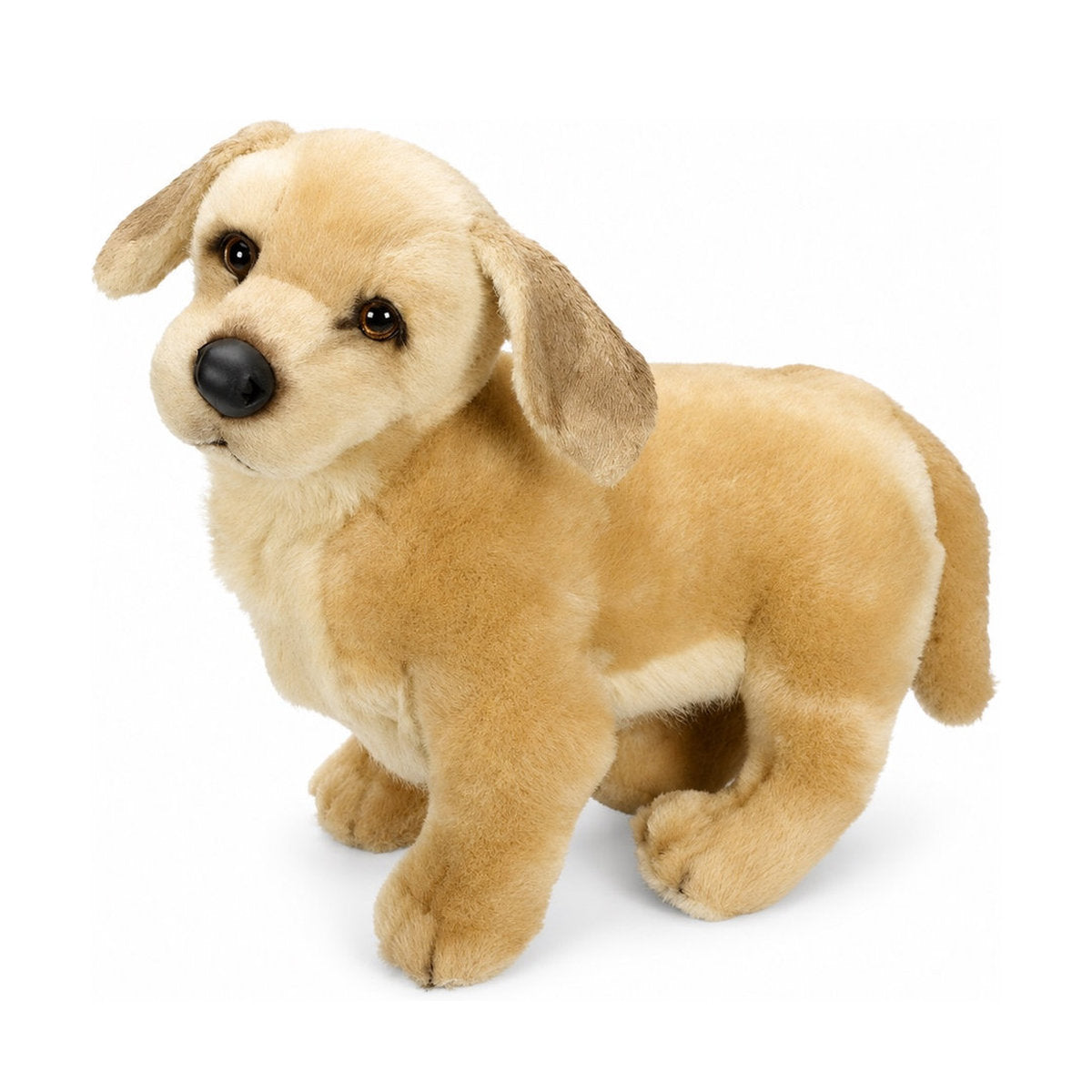 PIUTRE-2203 pose:standing