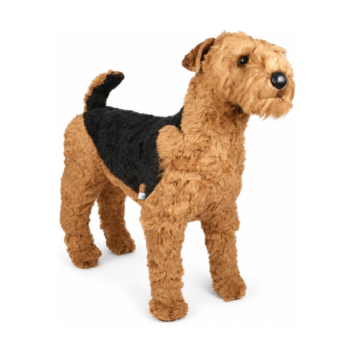 Piutrè Airedale Terrier
