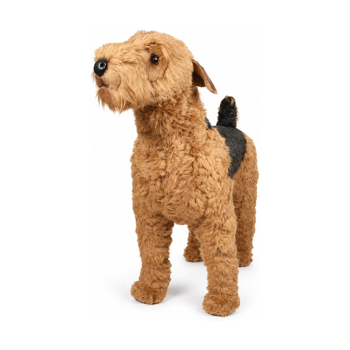 Piutrè Airedale Terrier
