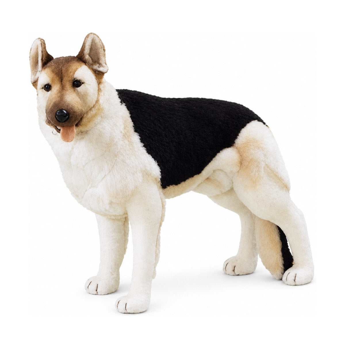 Piutrè Deutscher Schäferhund