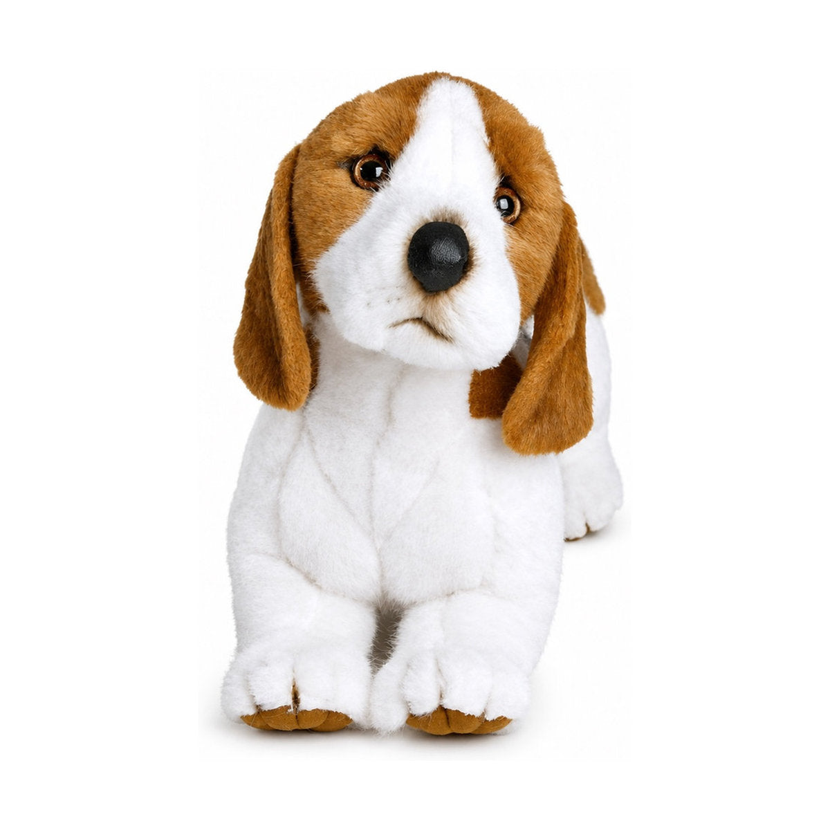 Piutrè Beagle