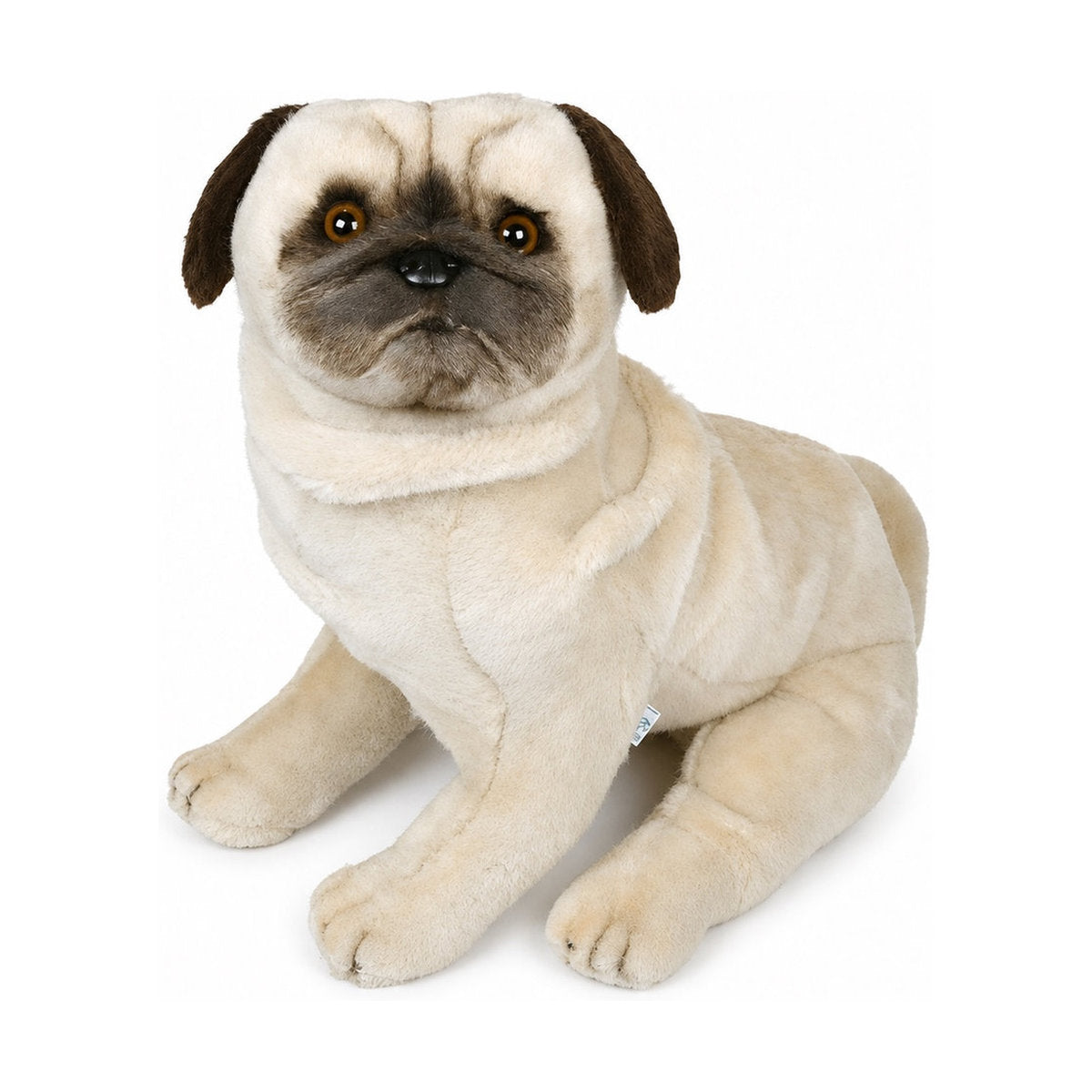 PIUTRE-2247 pose:sitting