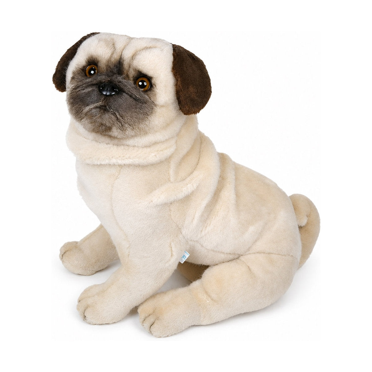 PIUTRE-2247 pose:sitting