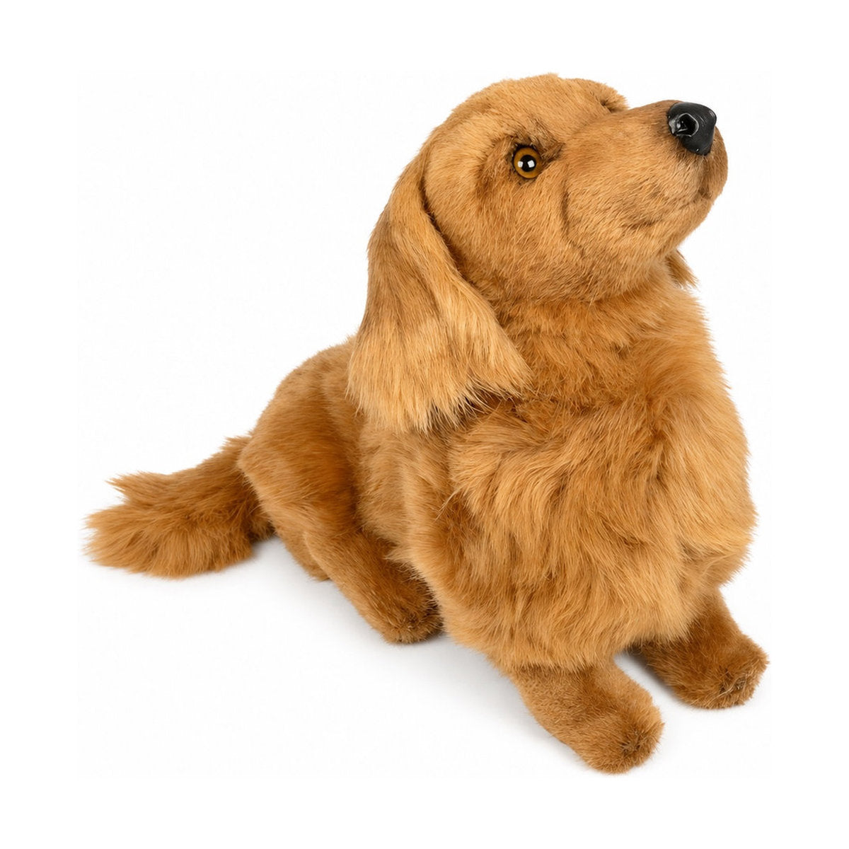 PIUTRE-2254 pose:sitting