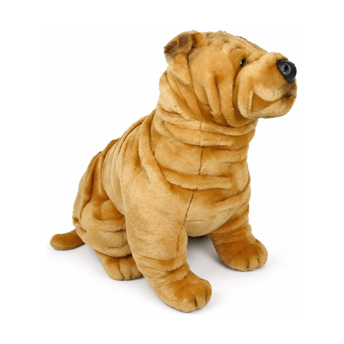 Piutrè Shar-Pei
