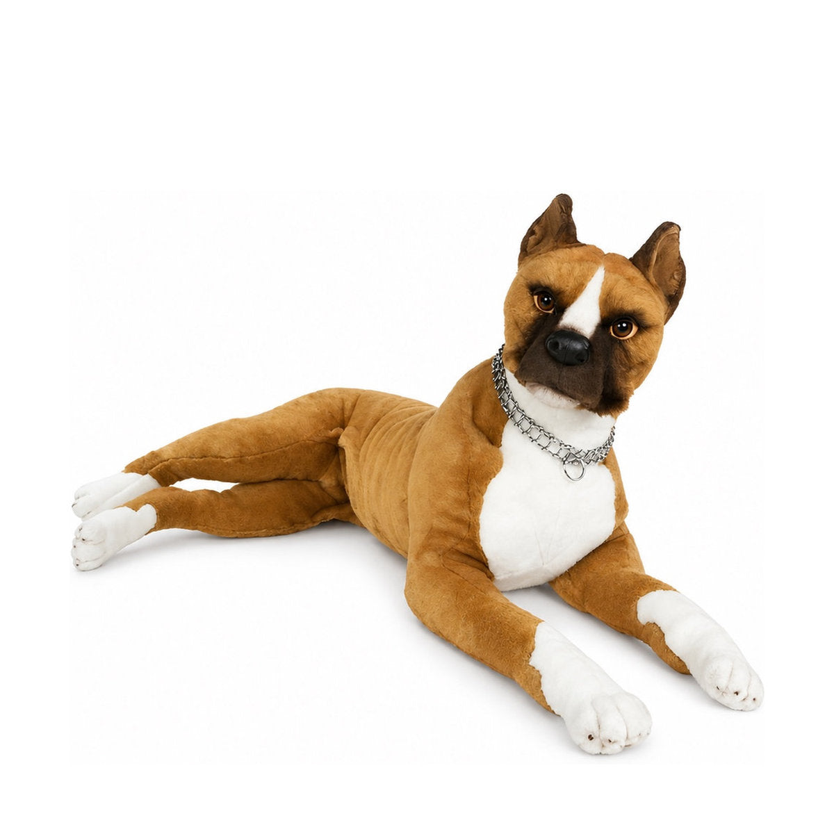 Piutrè Boxer