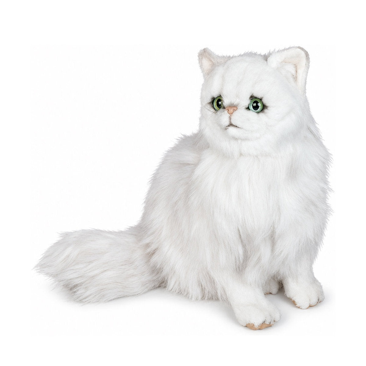 Piutrè Weiße Chinchilla-Perserkatze