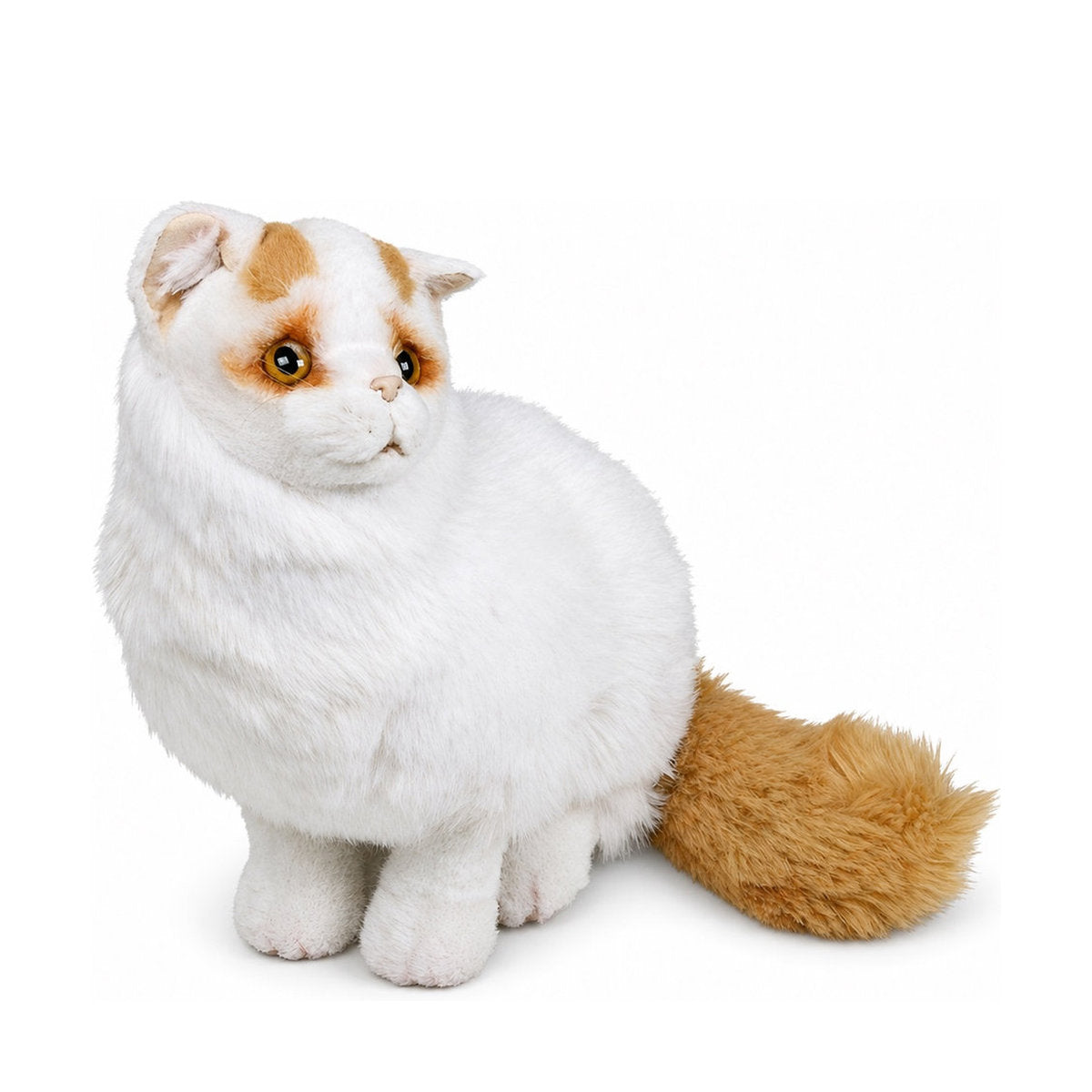 Piutrè Türkisch-Van-Katze weiß-rot