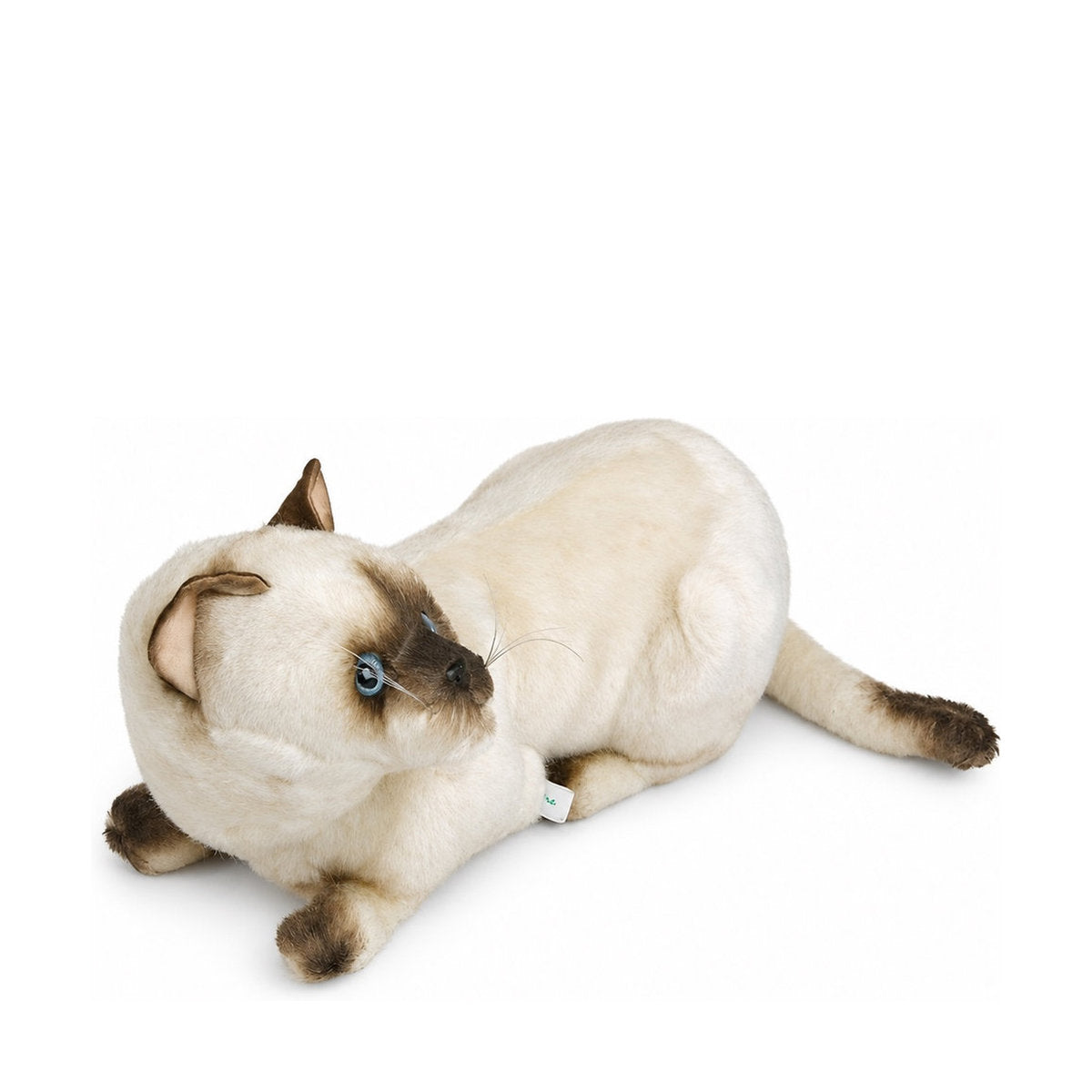 Piutrè Siamkatze