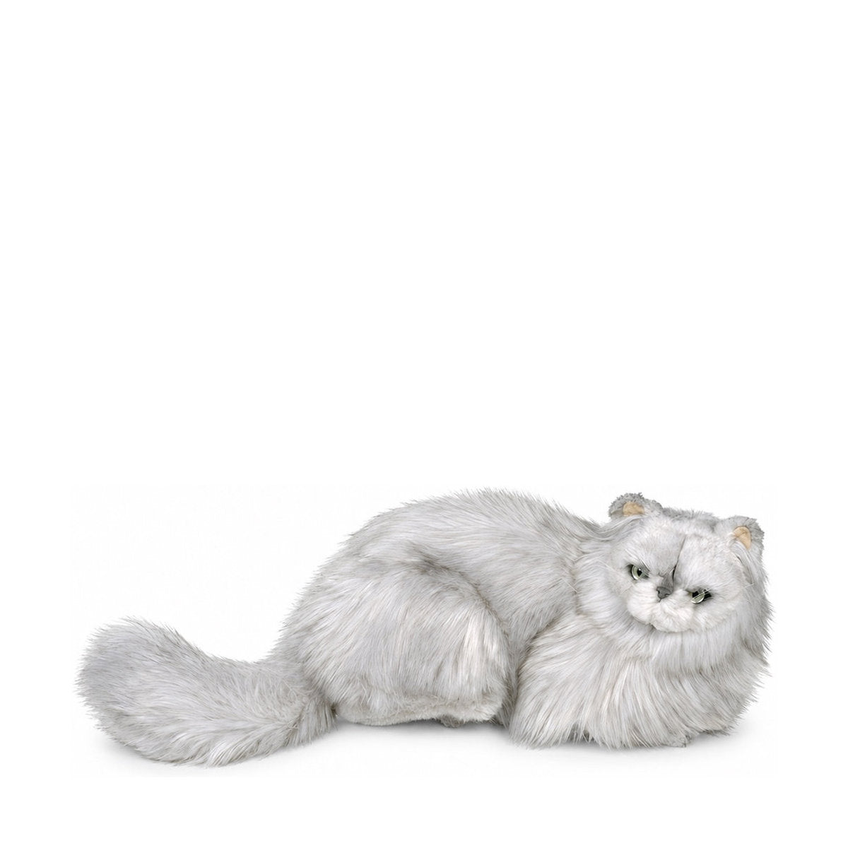 Piutrè Perserkatze silber