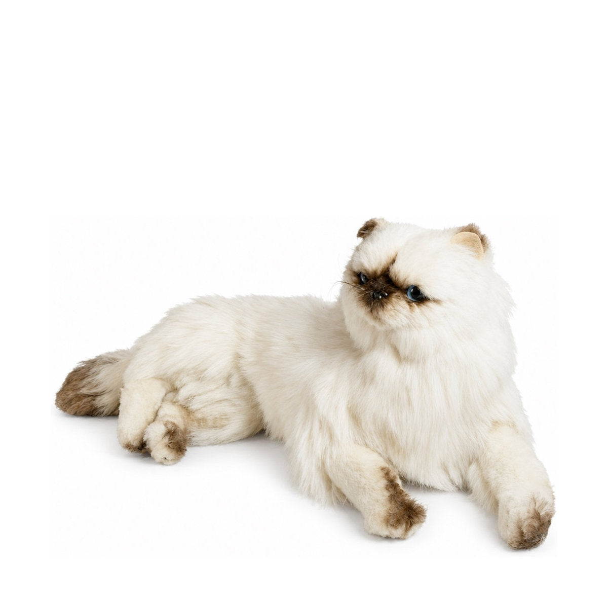 Piutrè Himalaya-Perserkatze