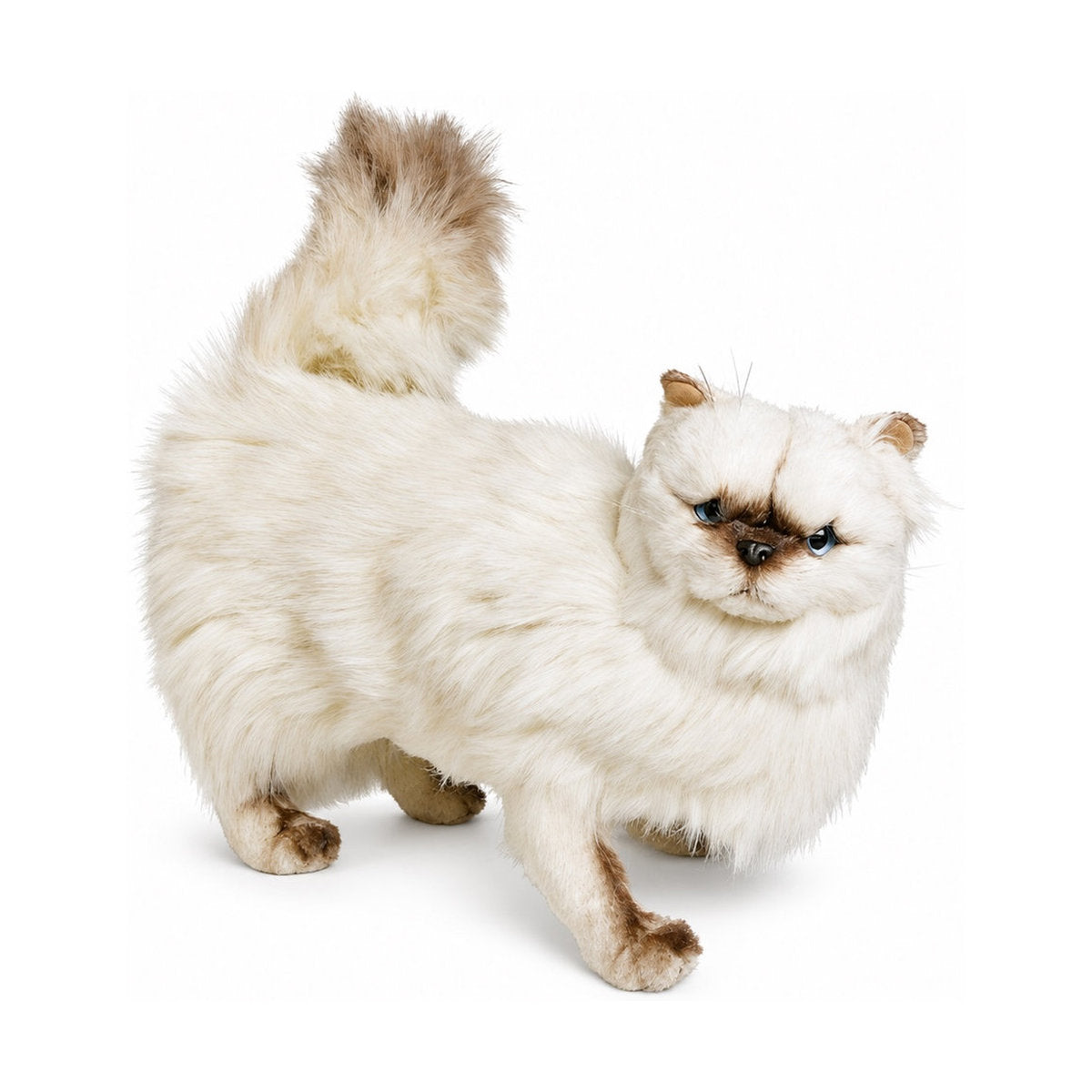 PIUTRE-2430 pose:standing