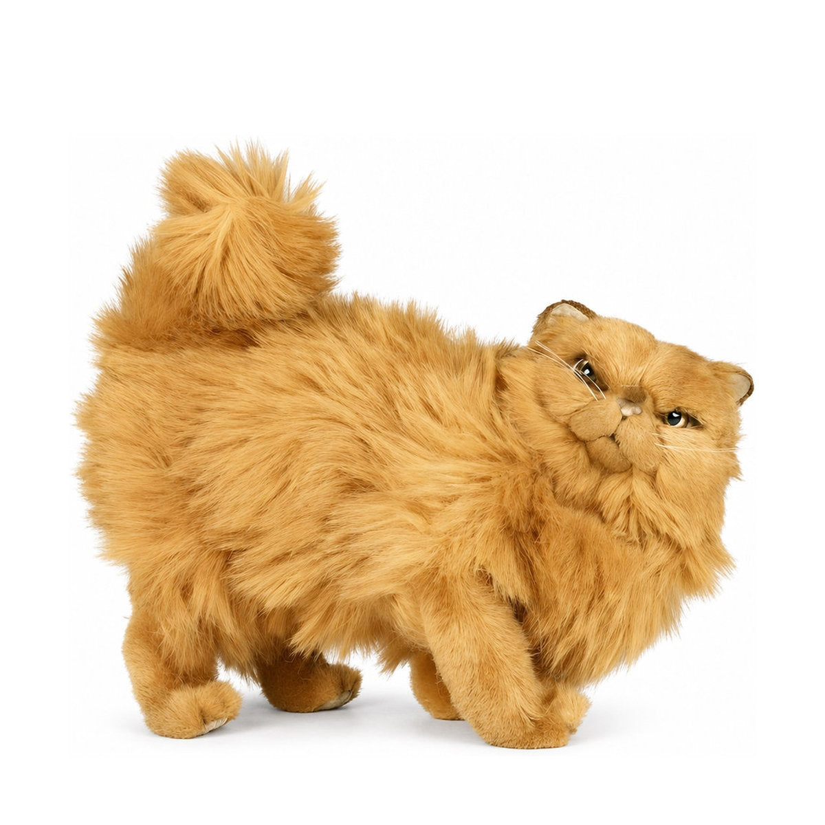 Piutrè Perserkatze rot