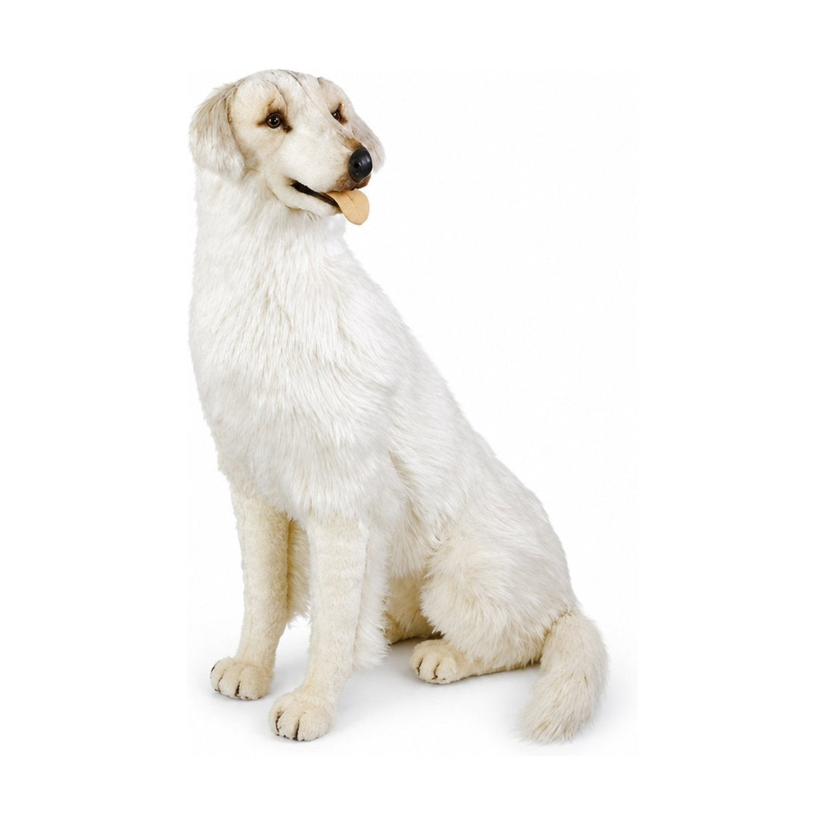 Piutrè Maremmen-Abruzzen-Schäferhund