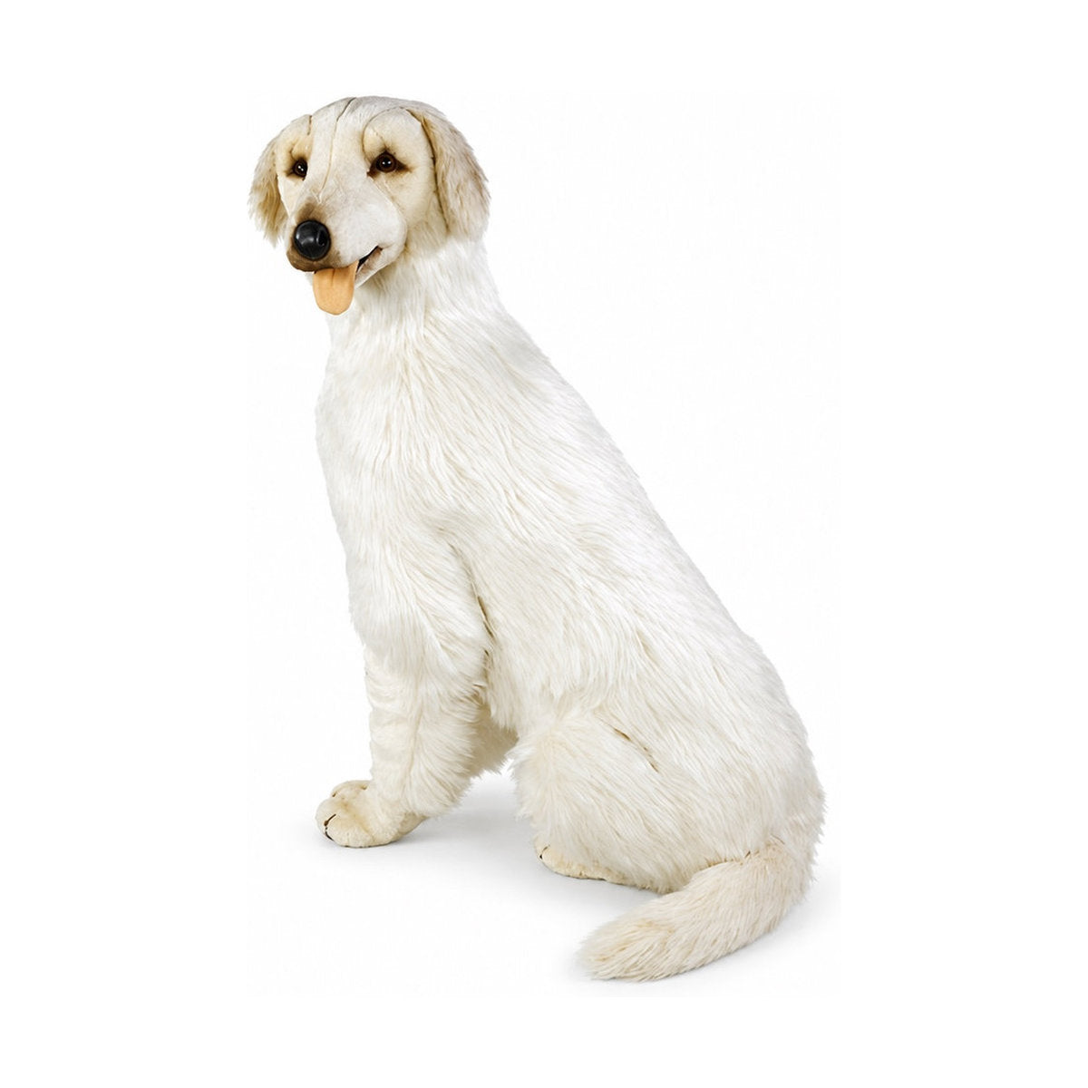 Piutrè Maremmen-Abruzzen-Schäferhund