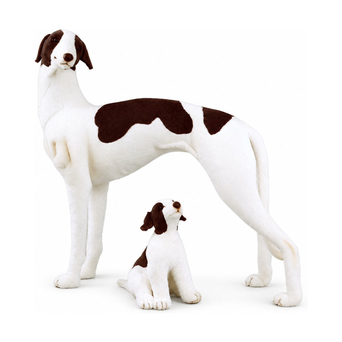 Piutrè Greyhound