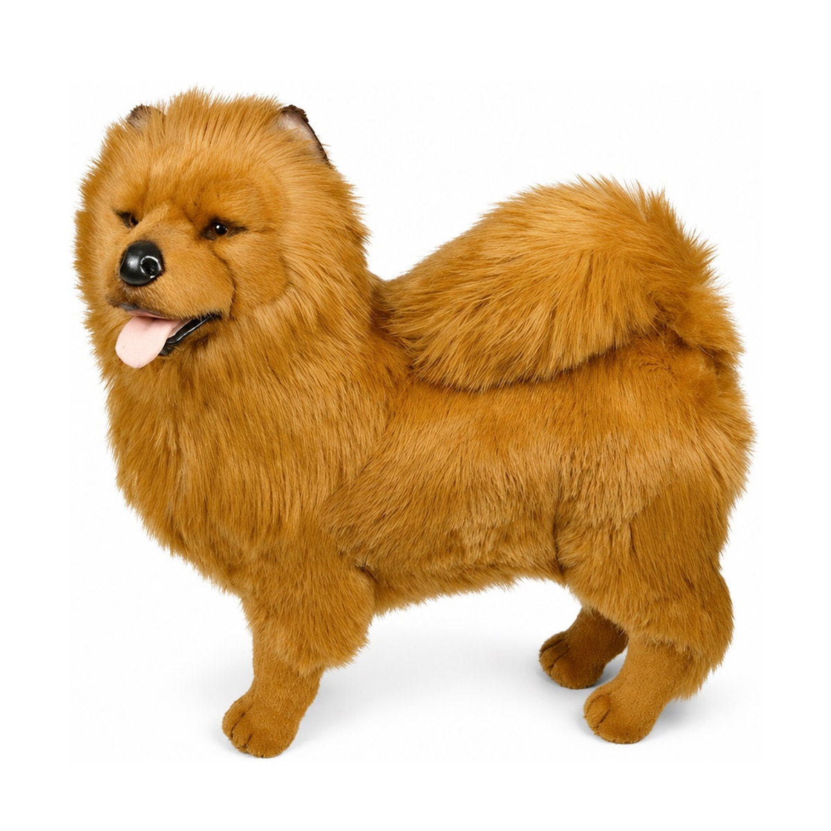 Piutrè Chow-Chow rot